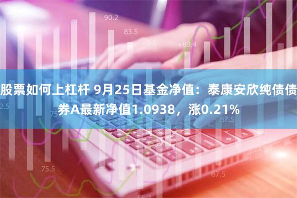 股票如何上杠杆 9月25日基金净值：泰康安欣纯债债券A最新净值1.0938，涨0.21%