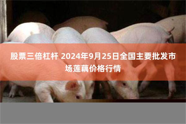 股票三倍杠杆 2024年9月25日全国主要批发市场莲藕价格行情