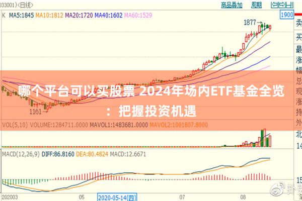 哪个平台可以买股票 2024年场内ETF基金全览：把握投资机遇