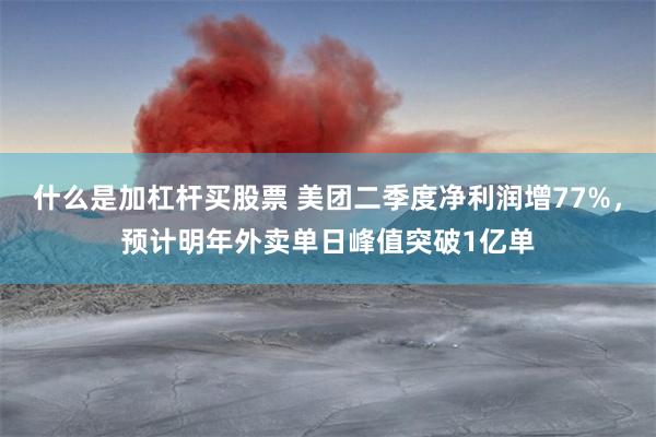 什么是加杠杆买股票 美团二季度净利润增77%，预计明年外卖单日峰值突破1亿单