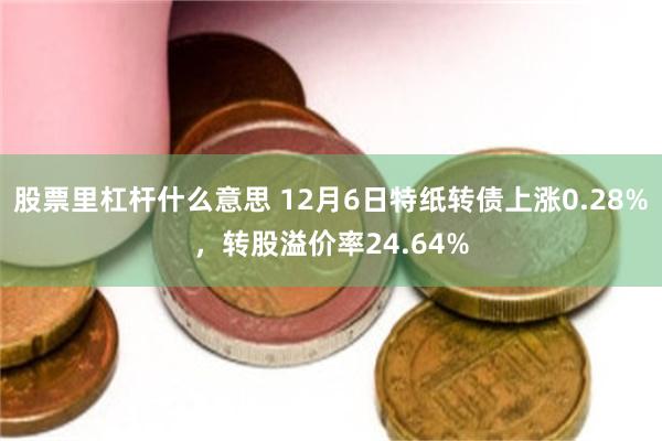 股票里杠杆什么意思 12月6日特纸转债上涨0.28%，转股溢价率24.64%