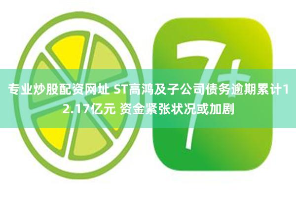 专业炒股配资网址 ST高鸿及子公司债务逾期累计12.17亿元 资金紧张状况或加剧