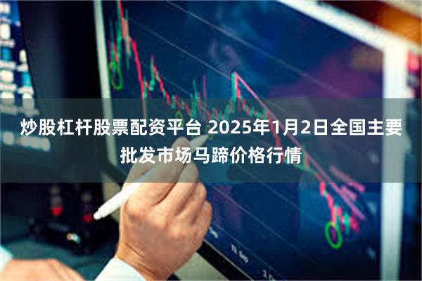 炒股杠杆股票配资平台 2025年1月2日全国主要批发市场马蹄价格行情