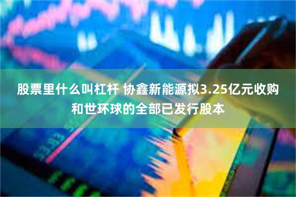 股票里什么叫杠杆 协鑫新能源拟3.25亿元收购和世环球的全部已发行股本