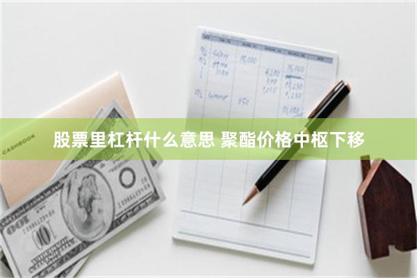 股票里杠杆什么意思 聚酯价格中枢下移