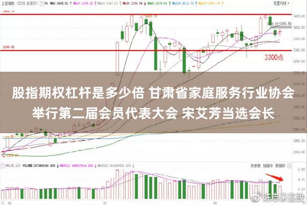 股指期权杠杆是多少倍 甘肃省家庭服务行业协会举行第二届会员代表大会 宋艾芳当选会长