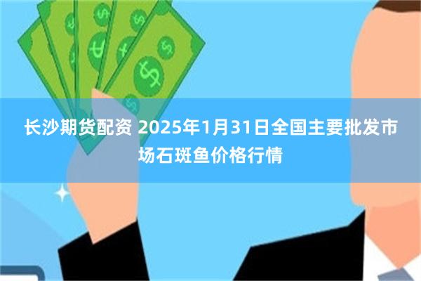 长沙期货配资 2025年1月31日全国主要批发市场石斑鱼价格行情