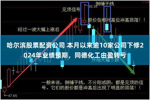 哈尔滨股票配资公司 本月以来逾10家公司下修2024年业绩预期，同德化工由盈转亏