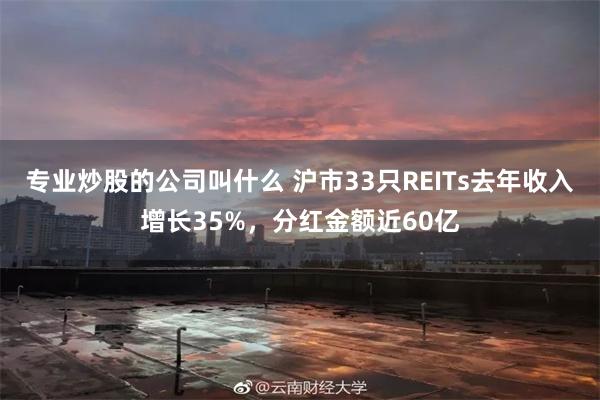专业炒股的公司叫什么 沪市33只REITs去年收入增长35%，分红金额近60亿