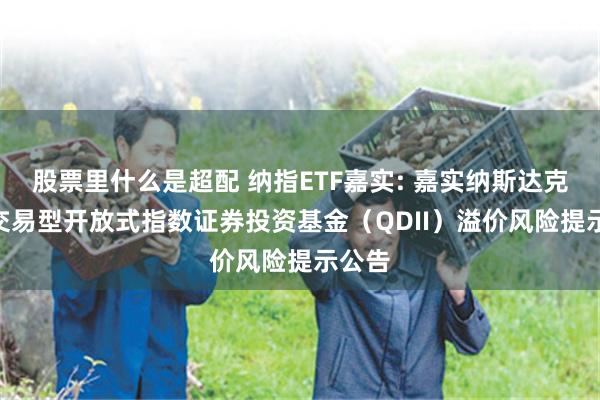 股票里什么是超配 纳指ETF嘉实: 嘉实纳斯达克100交易型开放式指数证券投资基金（QDII）溢价风险提示公告