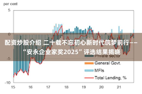 配资炒股介绍 二十载不忘初心新时代筑梦前行——“安永企业家奖2025”评选结果揭晓