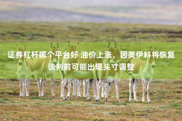 证券杠杆哪个平台好 油价上涨，因美伊料将恢复谈判前可能出现头寸调整