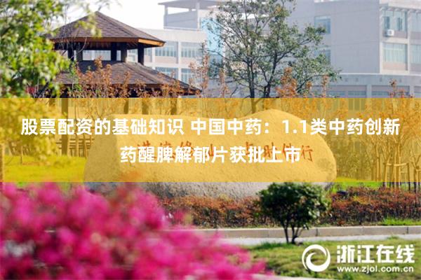 股票配资的基础知识 中国中药：1.1类中药创新药醒脾解郁片获批上市